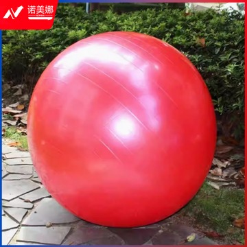 集成大师 按摩球大龙球