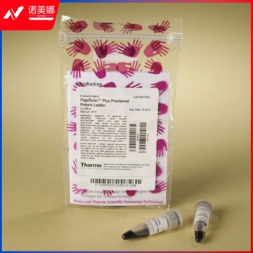 赛默飞 预染蛋白Ladder(10-250kDa)（原装）