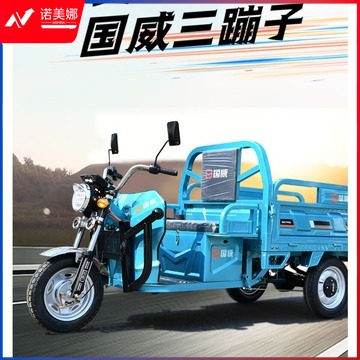 国威 60V20A铅酸 国威 72V45A铅酸 电动 三轮 大功率车 1.5米车厢 电动工具 其他防护