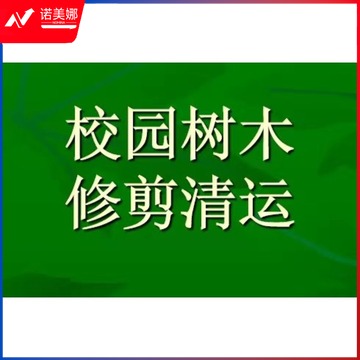 恒品 校园树木修剪